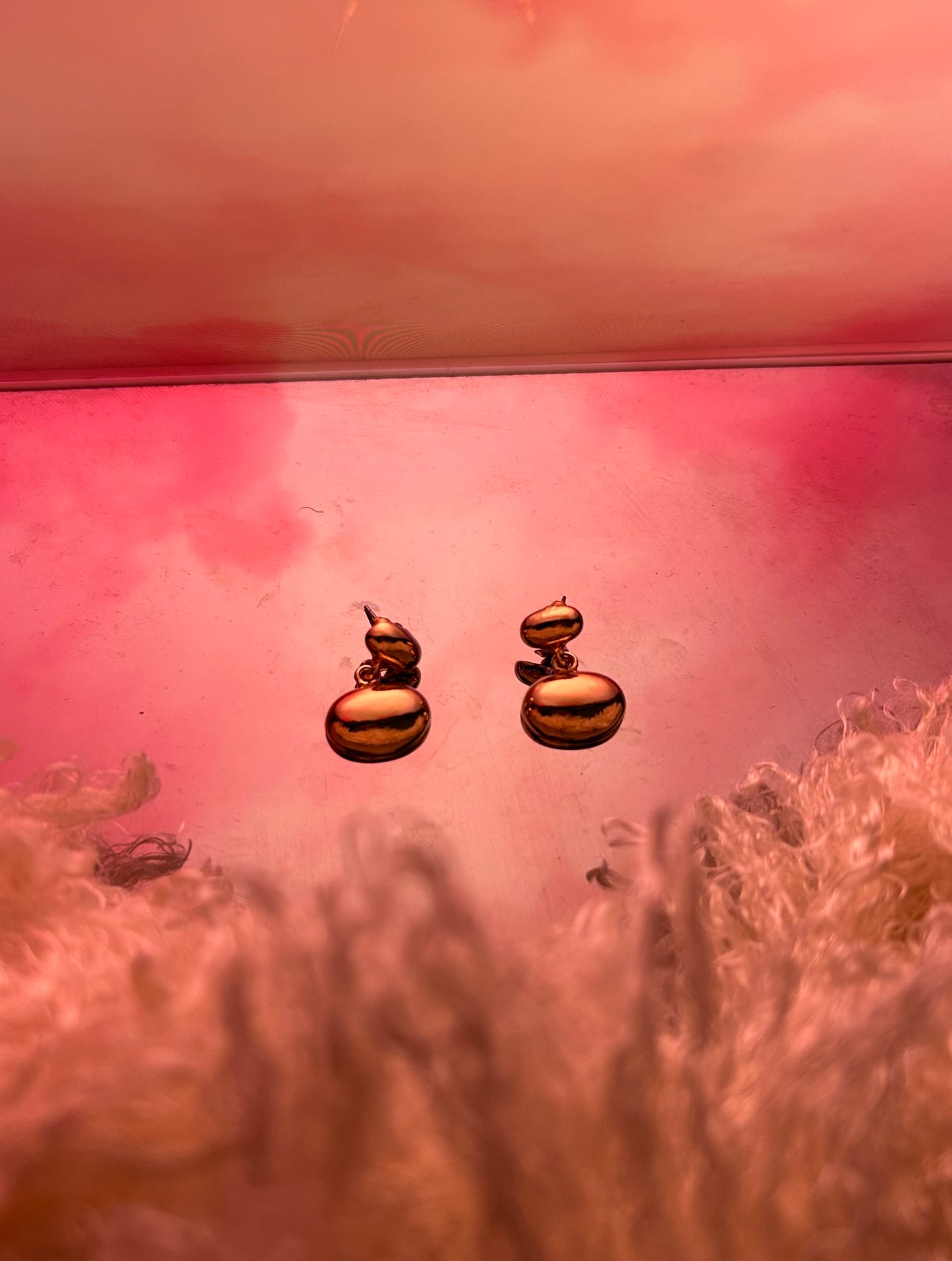 Double Circle Earring