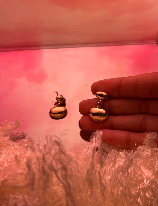 Double Circle Earring