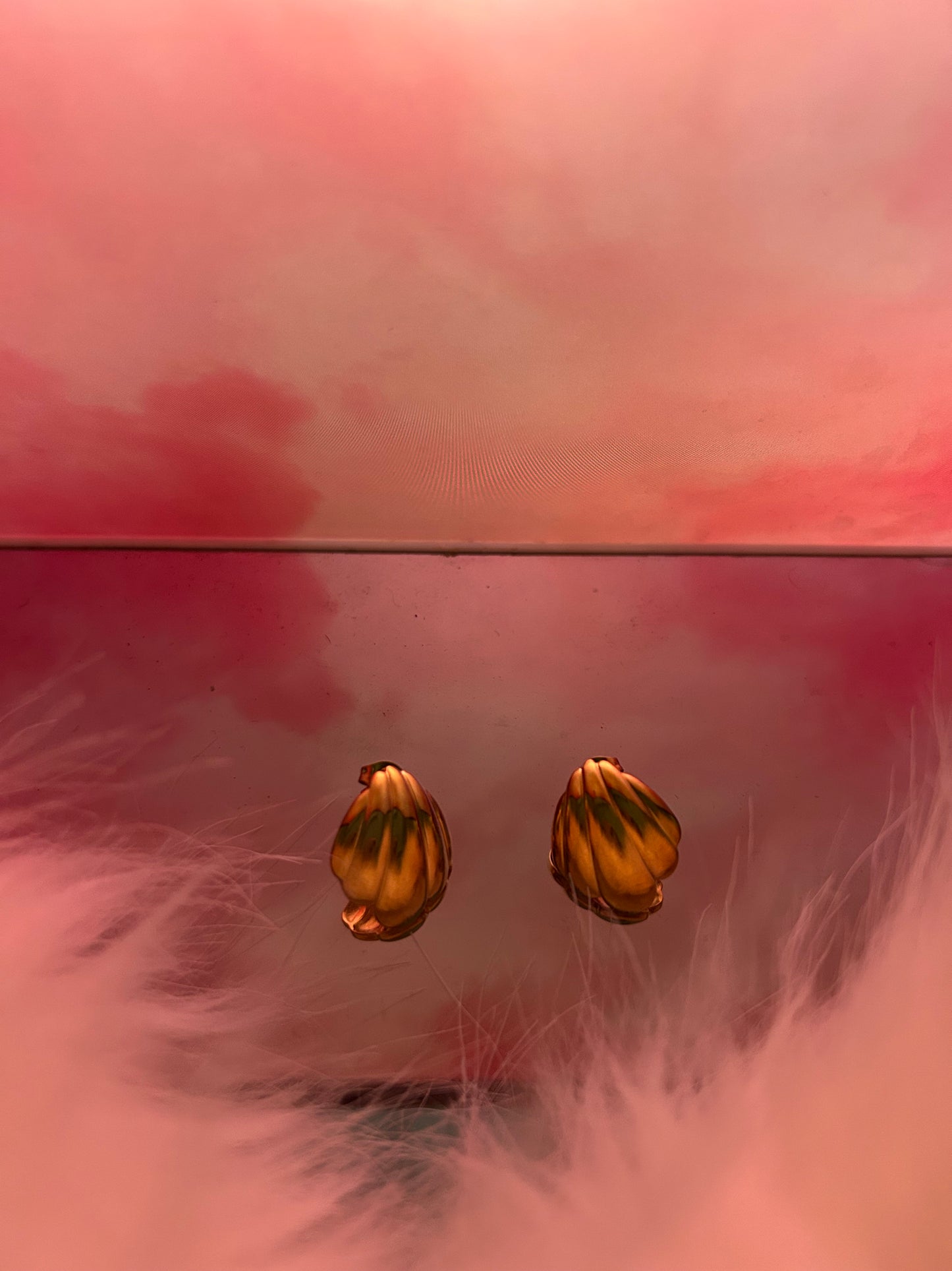 Seashell Earrings