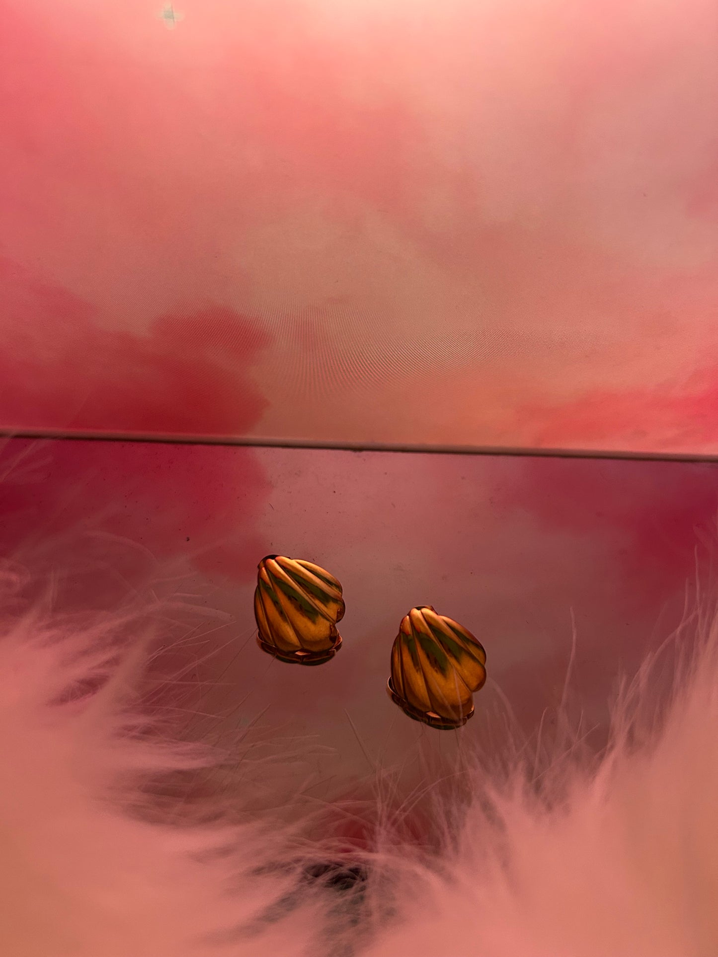 Seashell Earrings